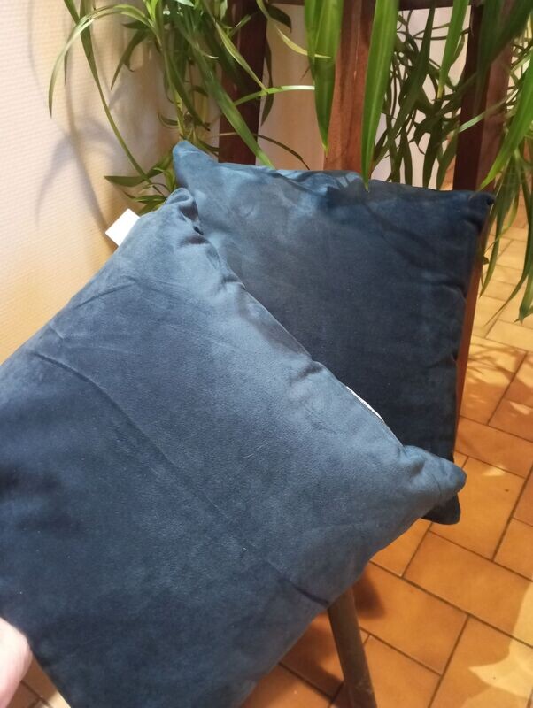 Cousin bleu  en velours