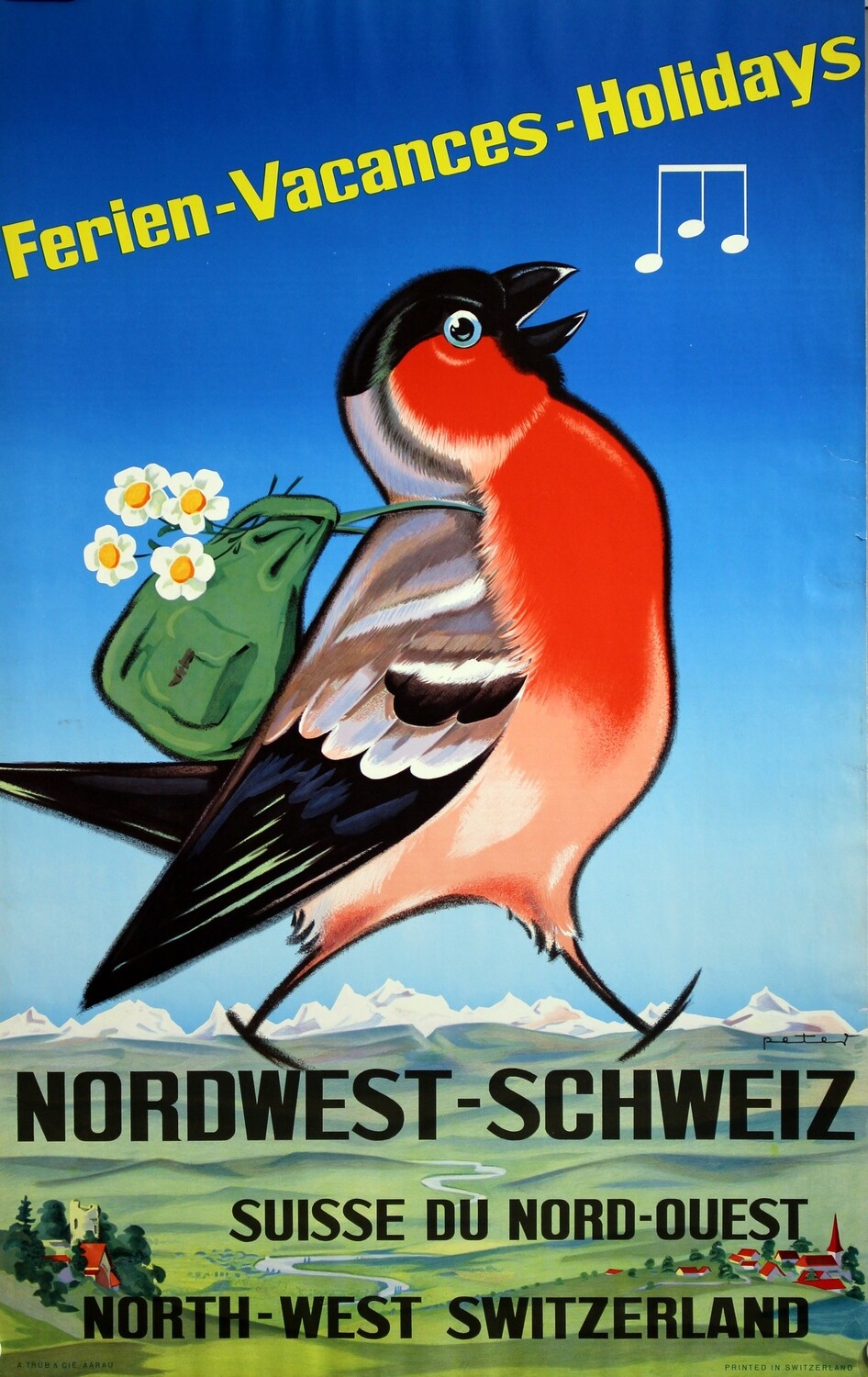 Peter - Nordwest-Schweiz