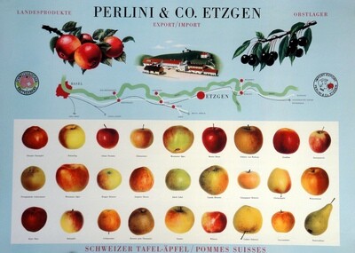 PERLINI &amp; CO. ETZGEN - Schweizer Tafeläpfel