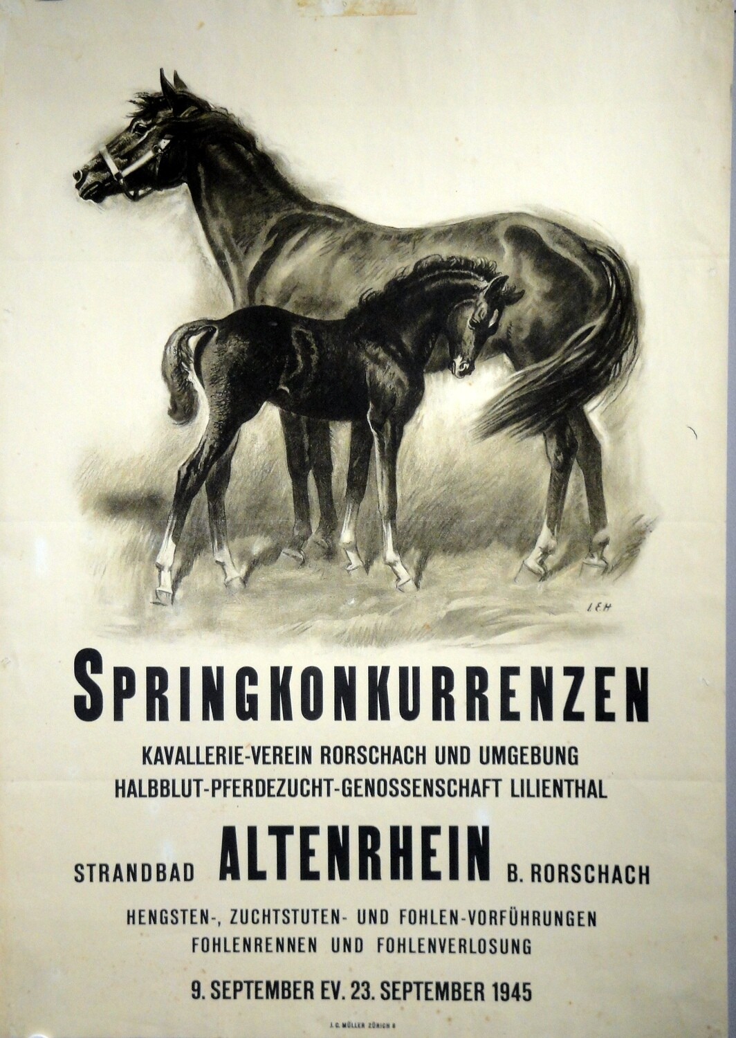 Hugentobler Iwan E. - Springkonkurrenzen Altenrhein 1945