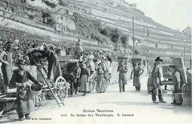 Au temps des Vendanges à Lavaux - Scènes Vaudoises