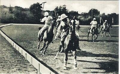 Brioni - Istria - Partita die Polo