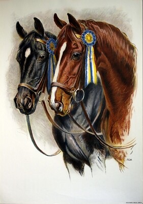 Hugentobler Iwan E. - Horses