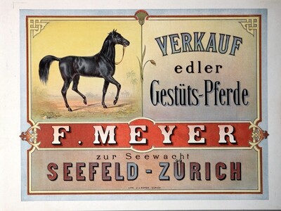 Verkauf edler Gestüts-Pferde - F. Meyer zur Seewacht - Seefeld-Zürich