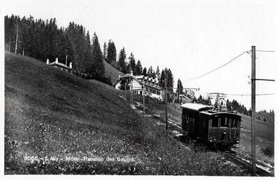 Lally - Hôtel-Pension des Sapins ca. 1930