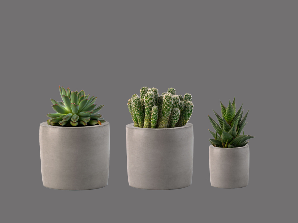 E-commerce Product Image