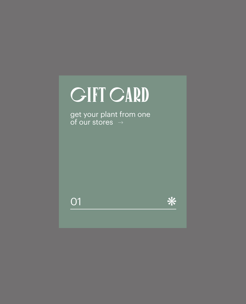 E-commerce Product Image