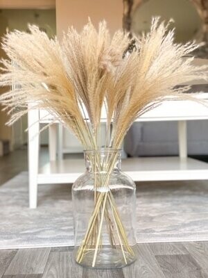 Fluffy Baby Natural Pampas - Bunch