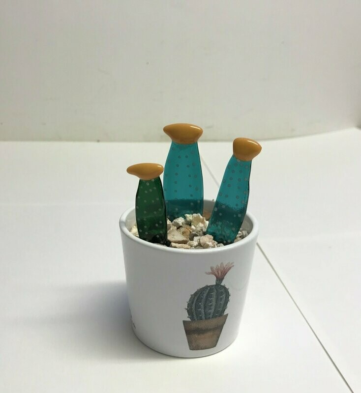 Cactus en fusing