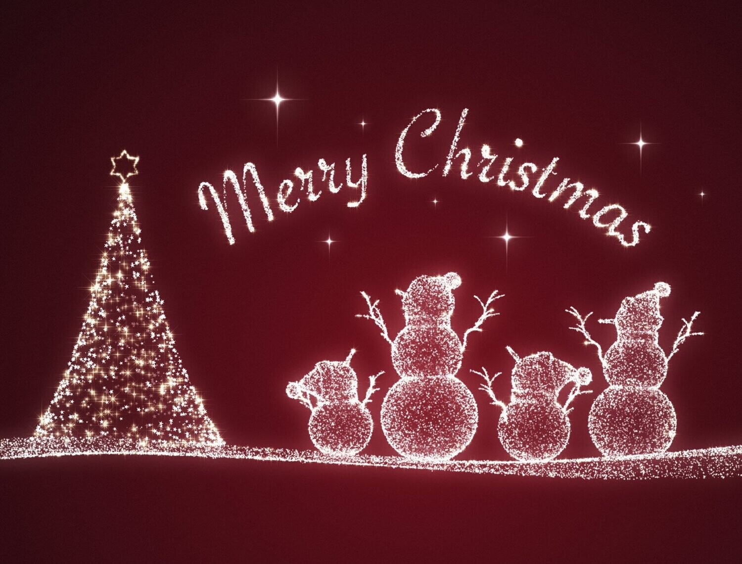 Weihnachtsgans-Abtanzparty