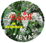 Скраб для чувствительной кожи "IEVA" с цветками черемухи.