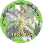 MITRINOŠS PIENIŅŠ ,,JASMĪNS