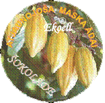 Atjaunojoša šokolādes maska ādai