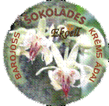 Barojošs šokolādes krēms ādai Barojošs šokolādes krēms ādai