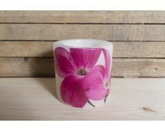 Laureta Candles Parafīna laterna, Orhideja