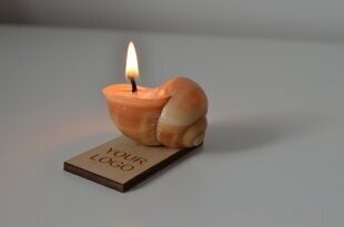 SNAILY CANDLE ar formu, Dizains: Četrstūris