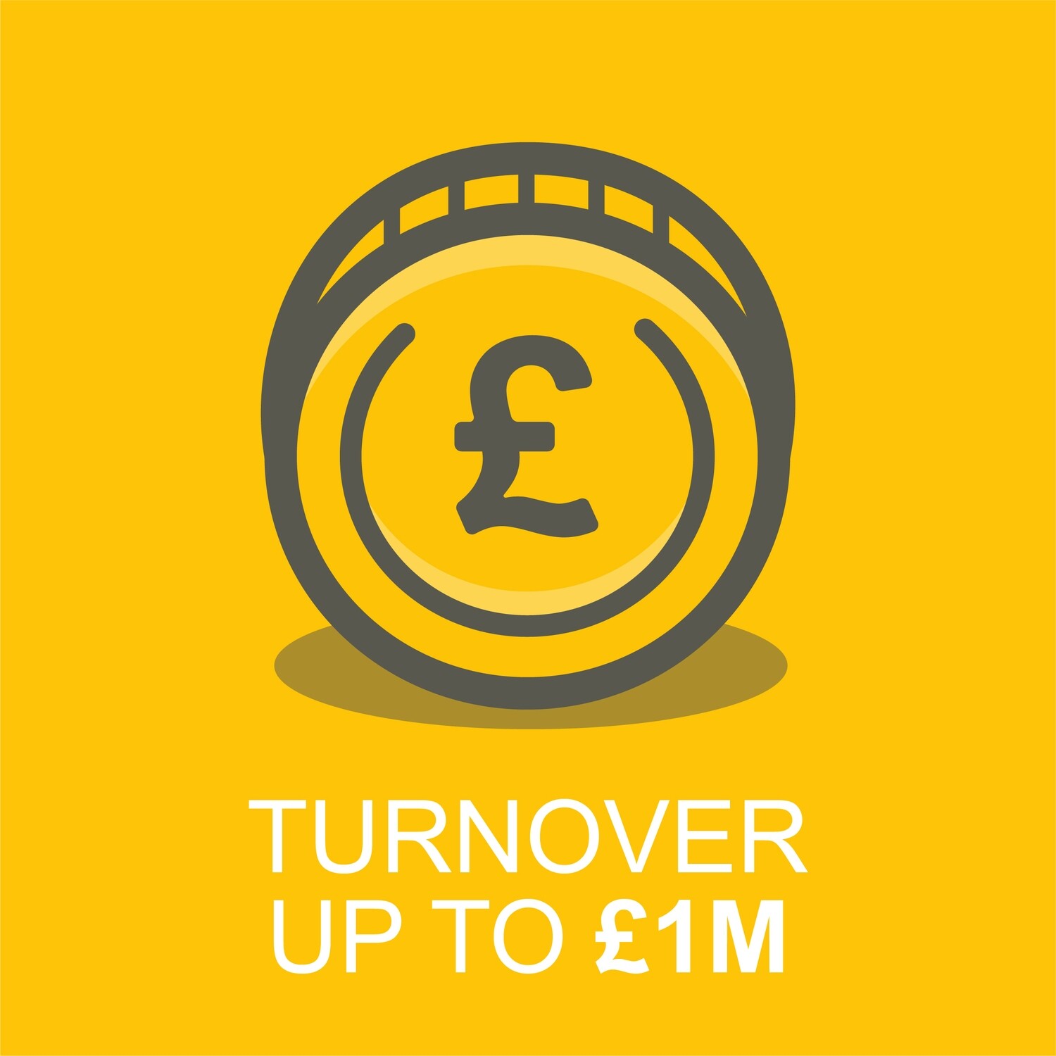 Business Client - Turnover up to £1 Million