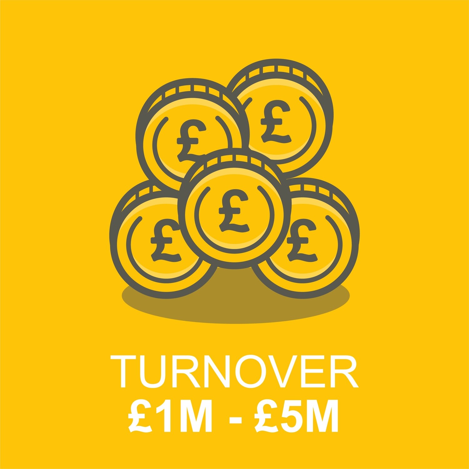 Business Client - Turnover £1 Million to £5 Million