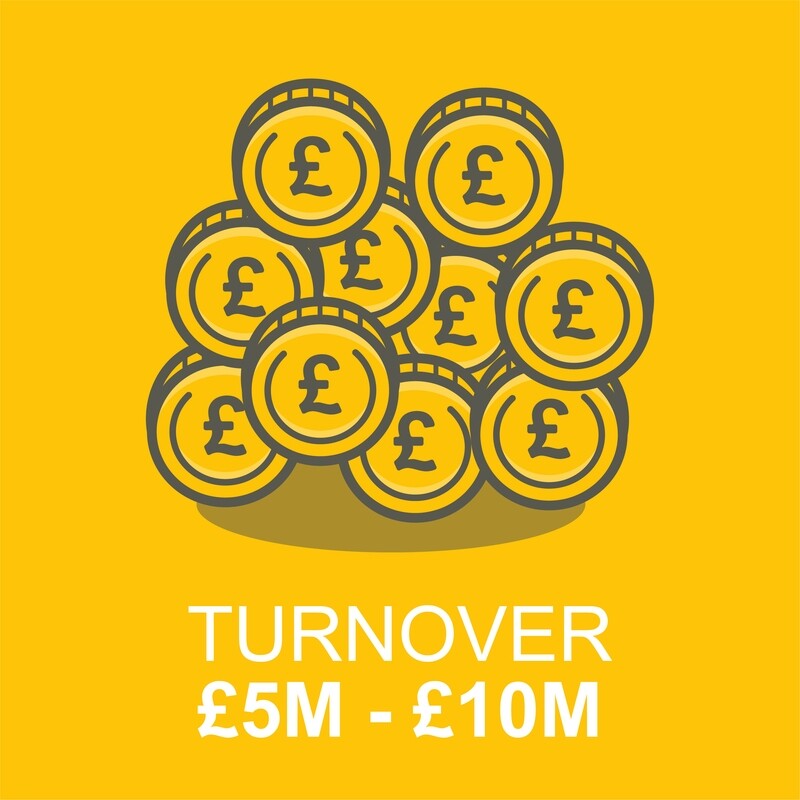 Business Client - Turnover £5 Million to £10 Million^