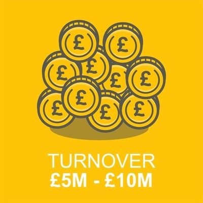 Business Client - Turnover £5 Million to £10 Million