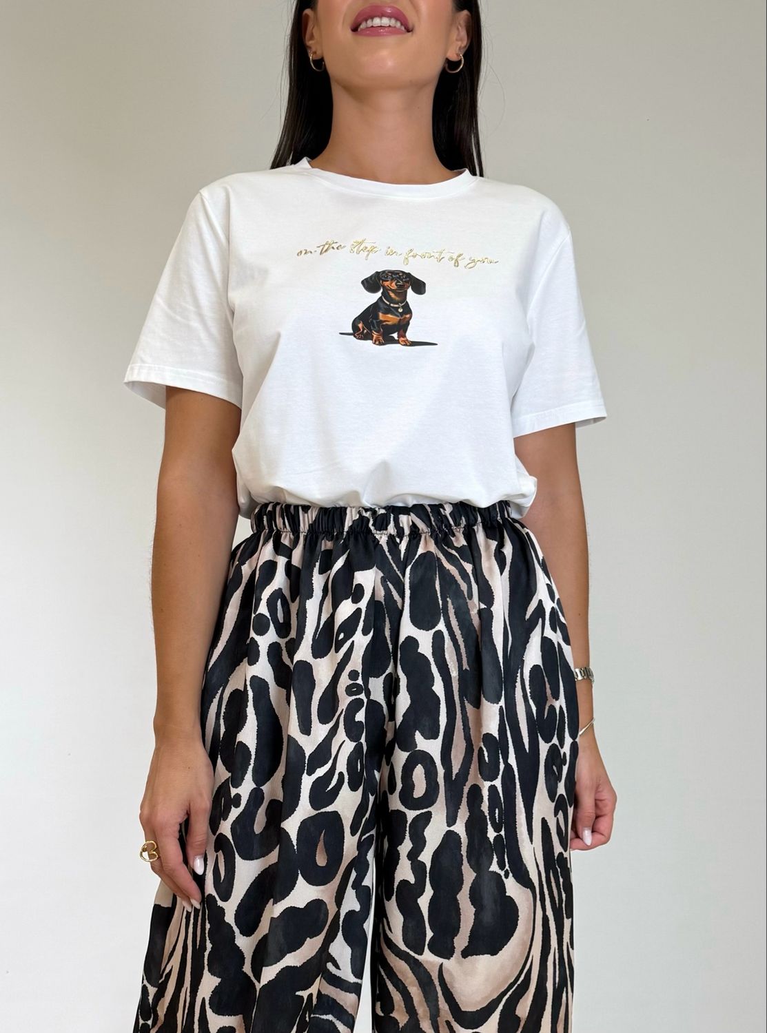 Camiseta Perro Salchicha Camiseta Perro Salchicha