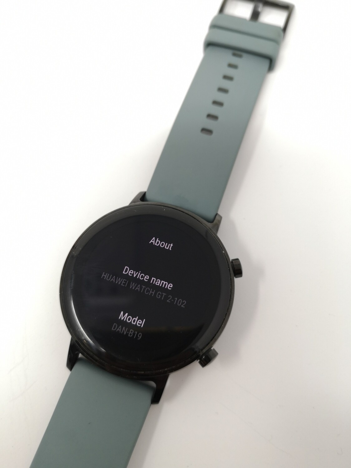 Huawei GT2 - 102 DAN-B19 Smart Watch