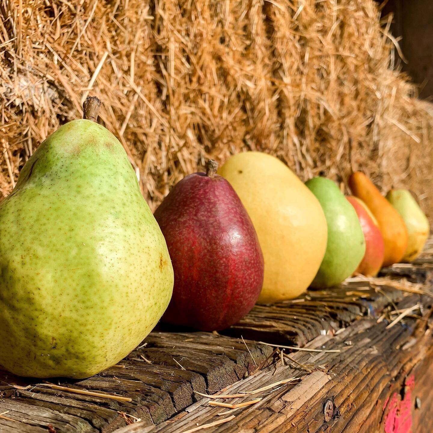 Pears by Bag/Box