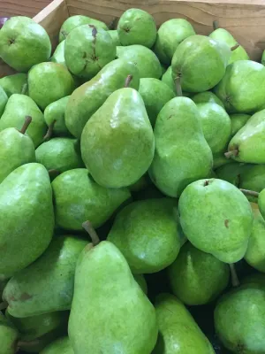 Pears