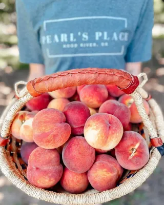 Stone Fruits