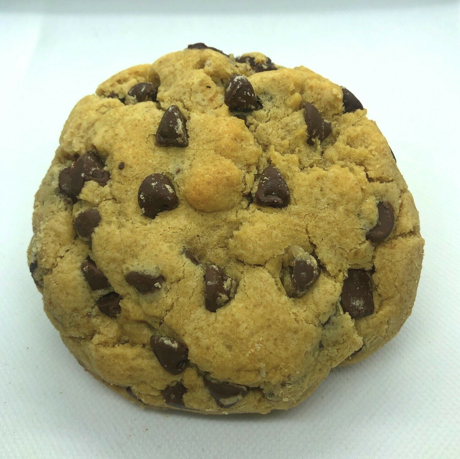 Traditional Chocolate Chip Cookie