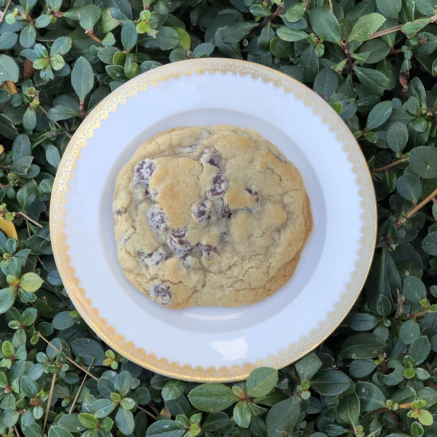 Gluten-Free Traditional Chocolate Chip Cookie