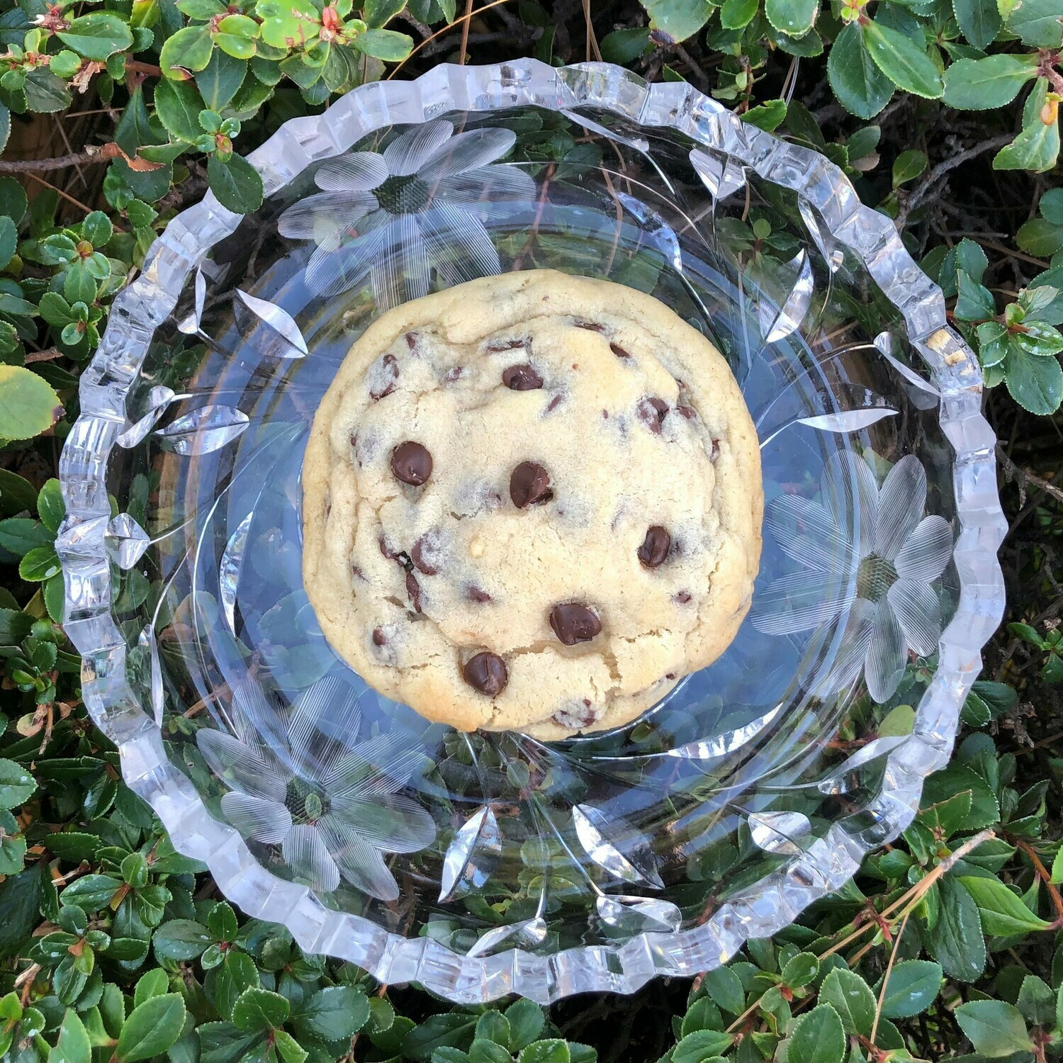The O.G. Chocolate Chip Cookie