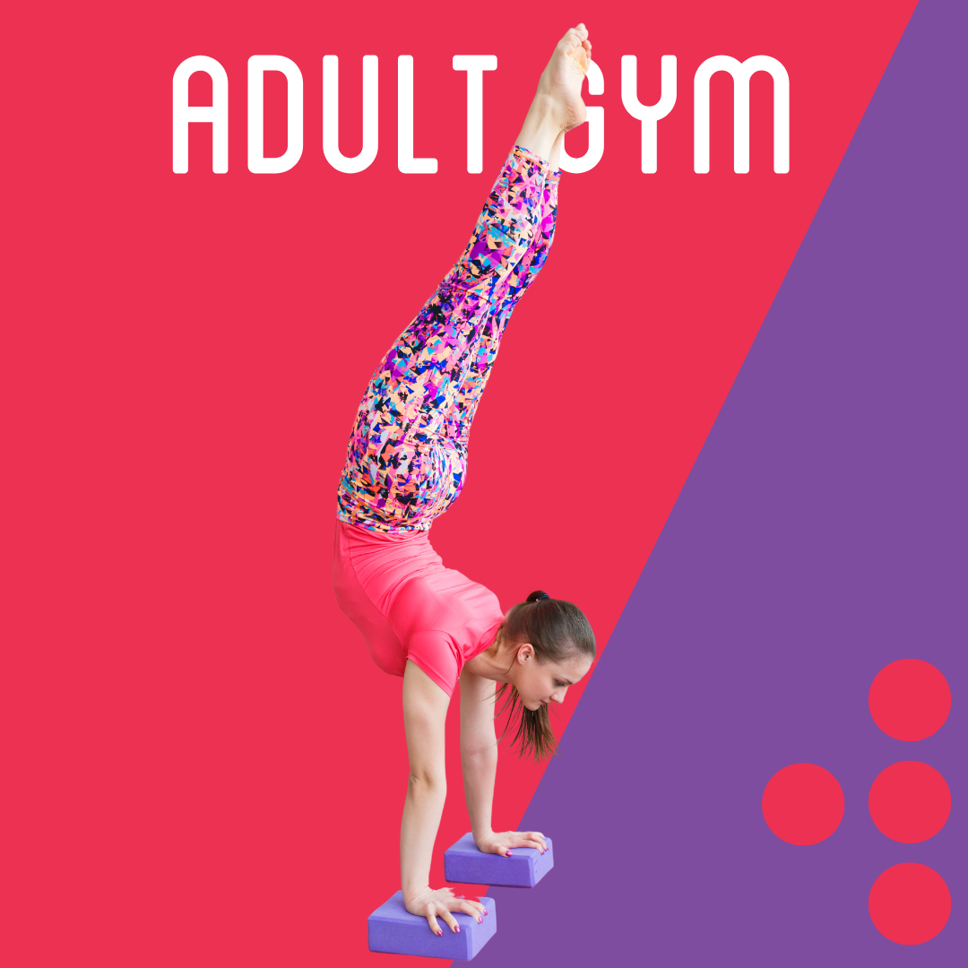 1 Adult Session TERM TIME ONLY