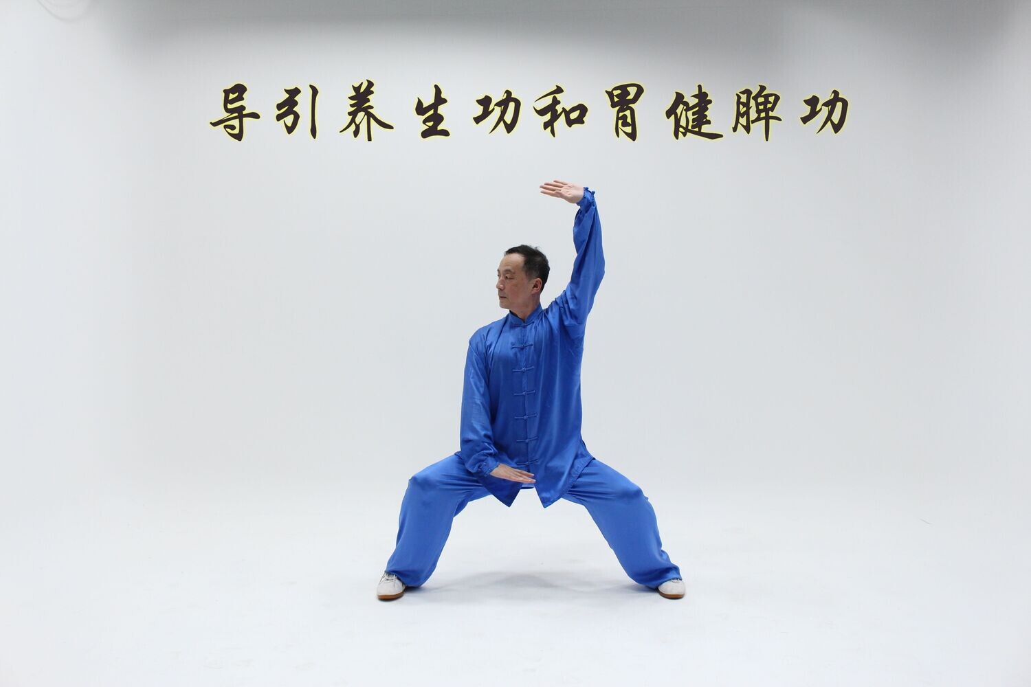 Recorded Course 2021 January Hu Xiaofei Seasonal Training Stomach and Spleen