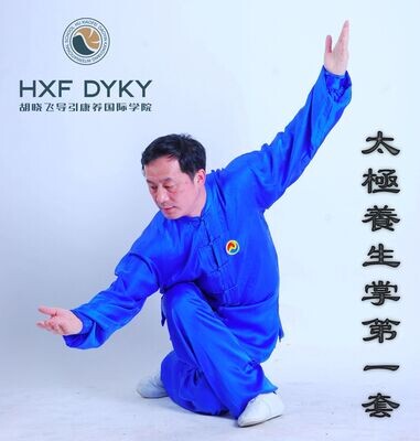Recorded course 16.-30.7.2022 Hu Xiaofei Taiji Health Palm 1