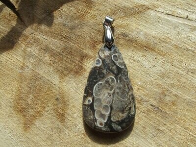 Pendentif agate à turritelles