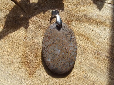 Pendentif plésiosaure