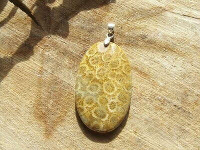 Pendentif corail fossile