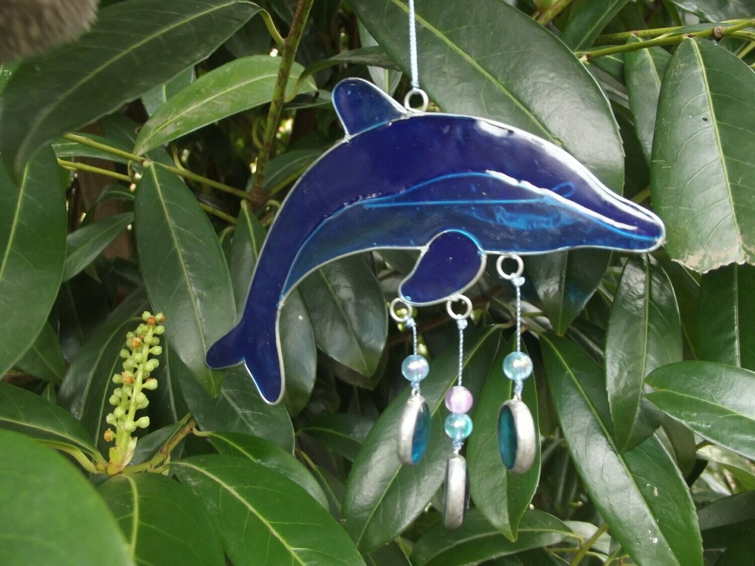 Attrape soleil dauphin