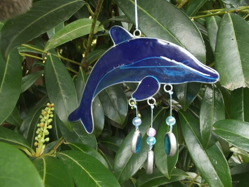 Attrape soleil dauphin