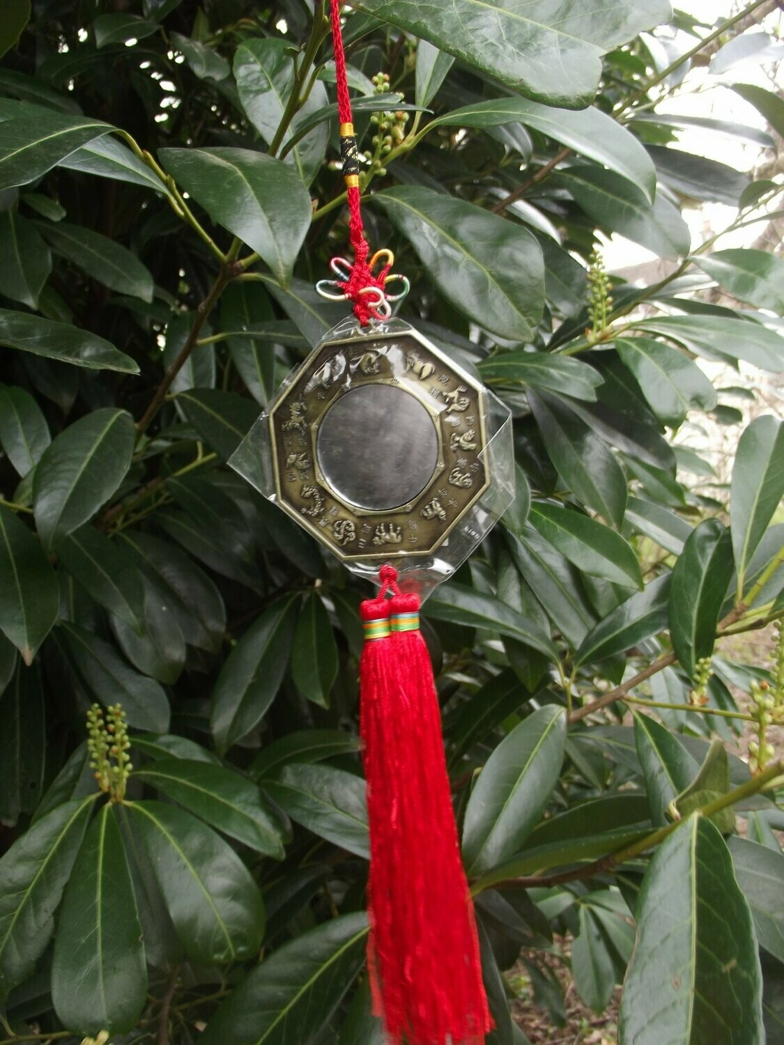 Miroir Pa Kua dragon