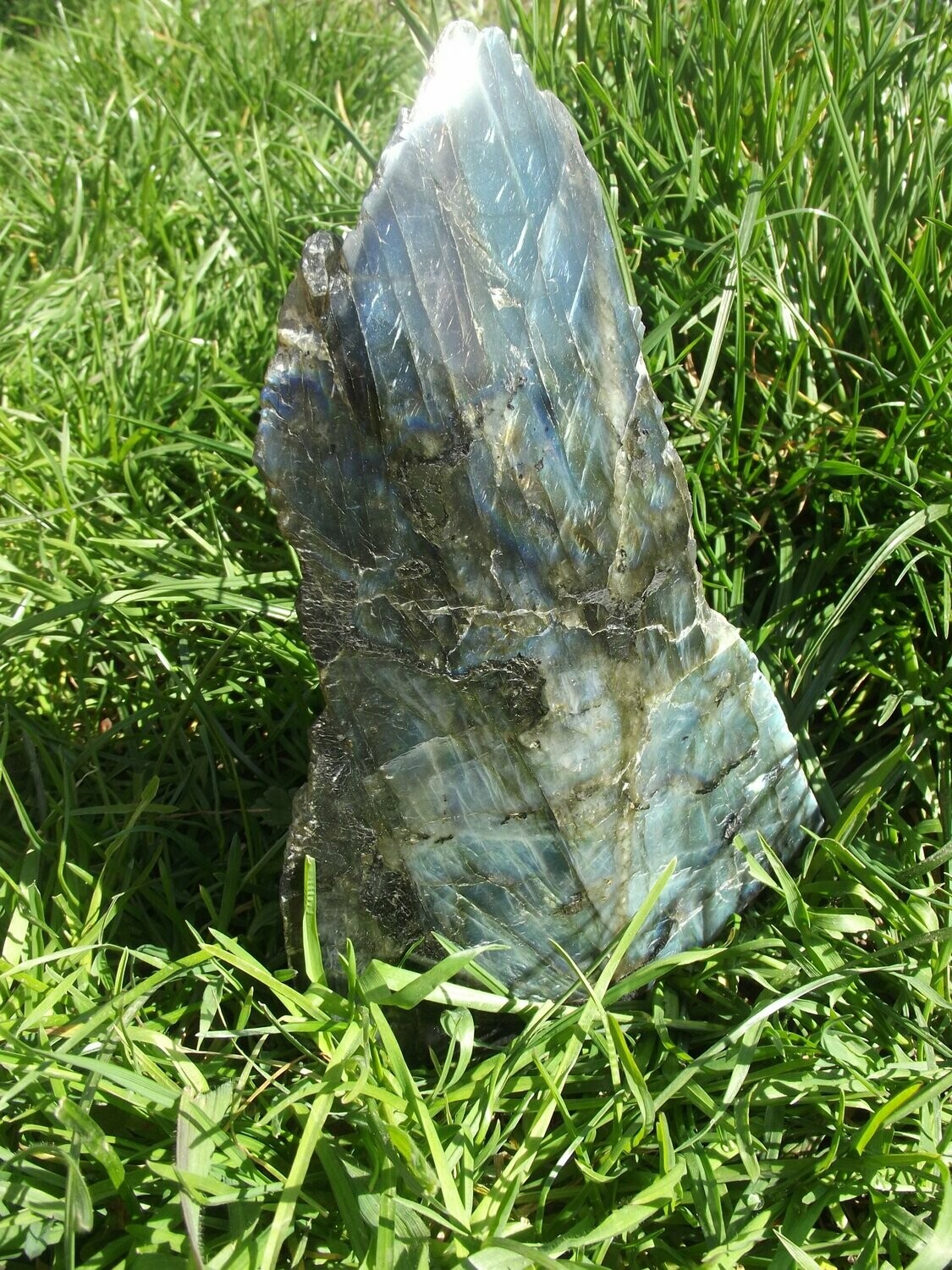Forme libre de labradorite