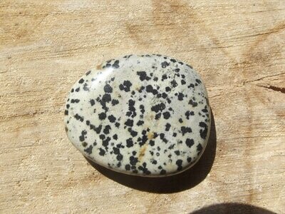 Galet de jaspe dalmatien