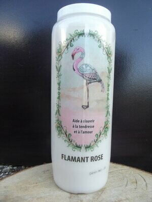 Neuvaine flamant rose (amour)