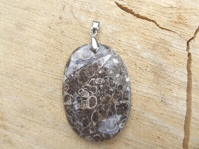 Pendentif agate à turritelles