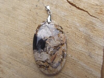 Pendentif bois fossile de palmier