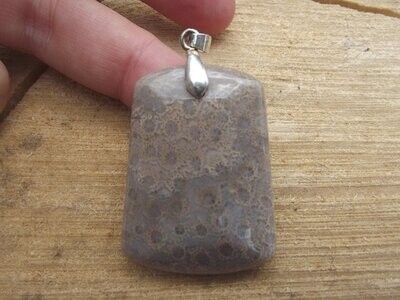 Pendentif corail fossile