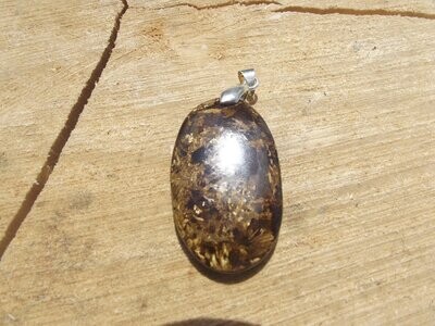 Pendentif bronzite