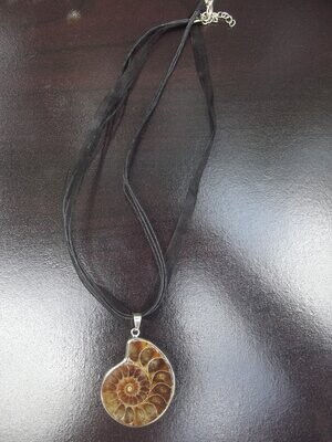 Collier ammonite irisée