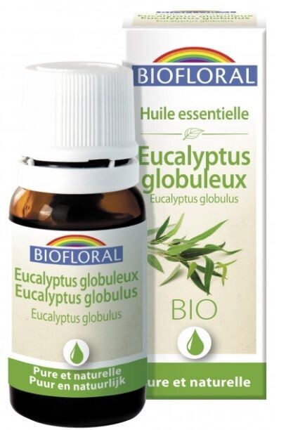 Huile essentielle eucalyptus globuleux